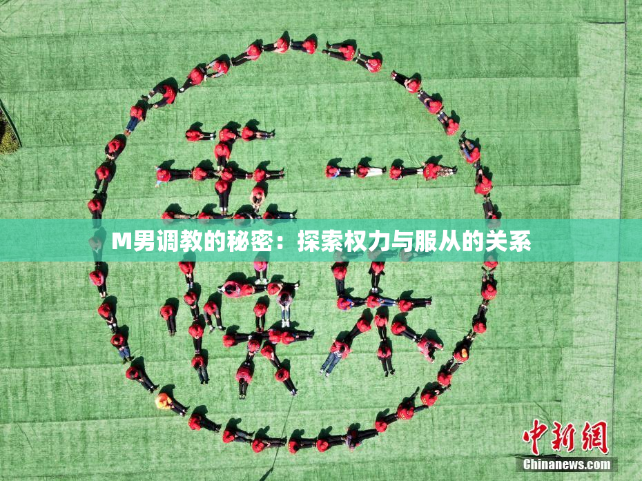 M男调教的秘密：探索权力与服从的关系