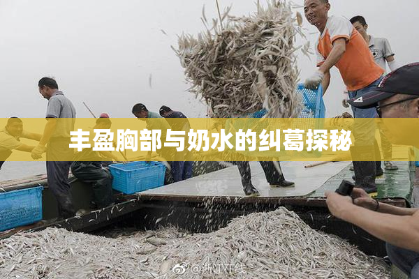 丰盈胸部与奶水的纠葛探秘