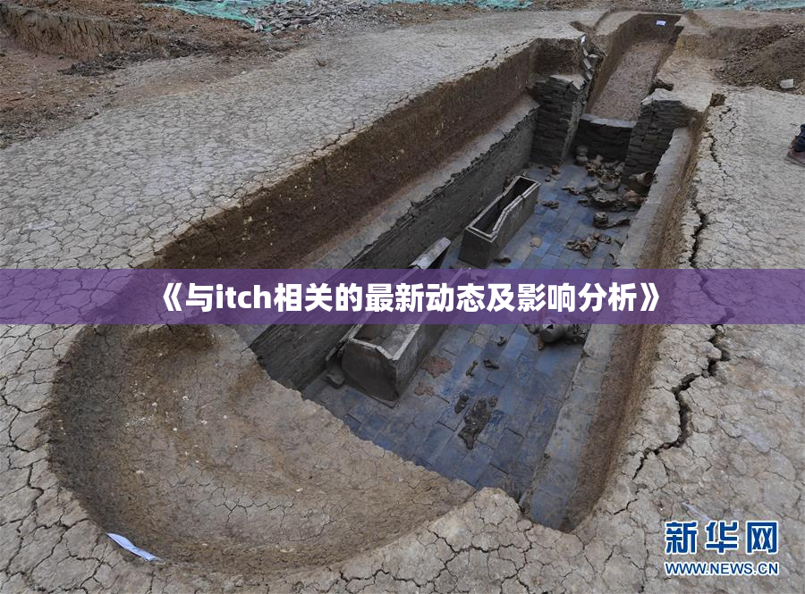 《与itch相关的最新动态及影响分析》