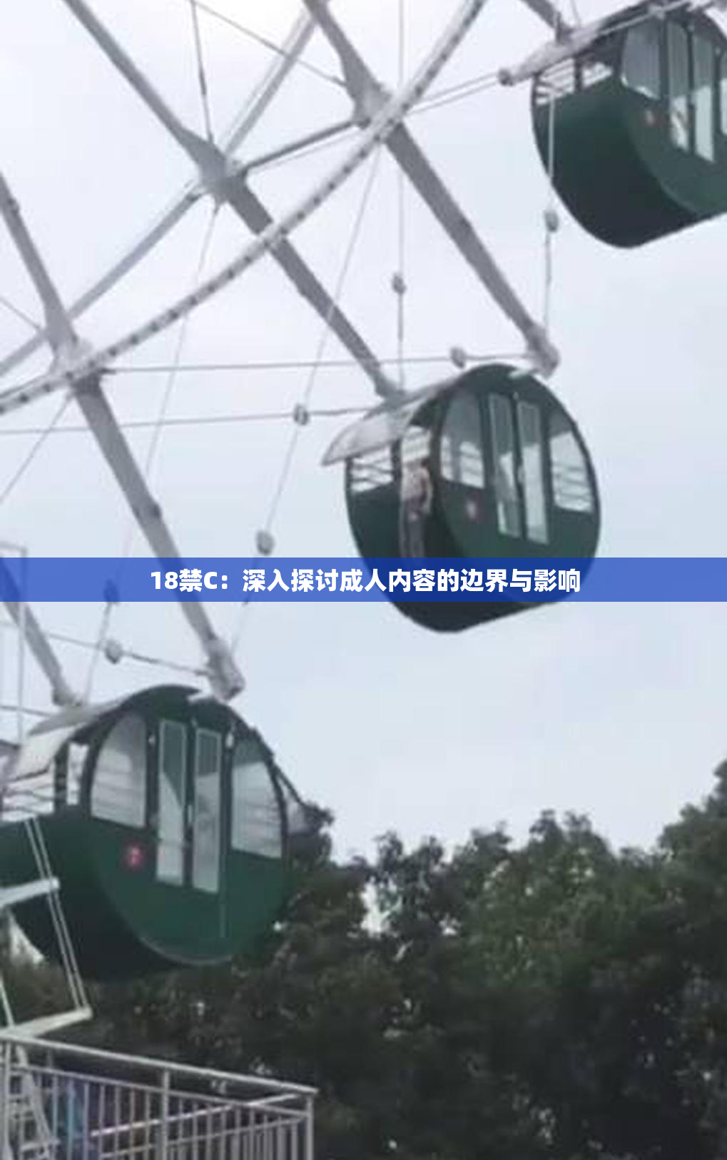 18禁C：深入探讨成人内容的边界与影响
