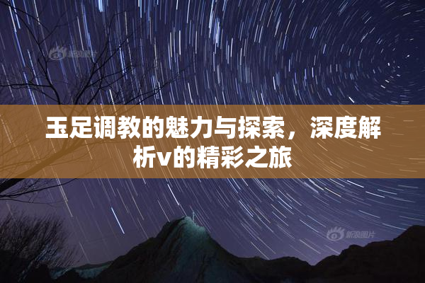玉足调教的魅力与探索，深度解析v的精彩之旅