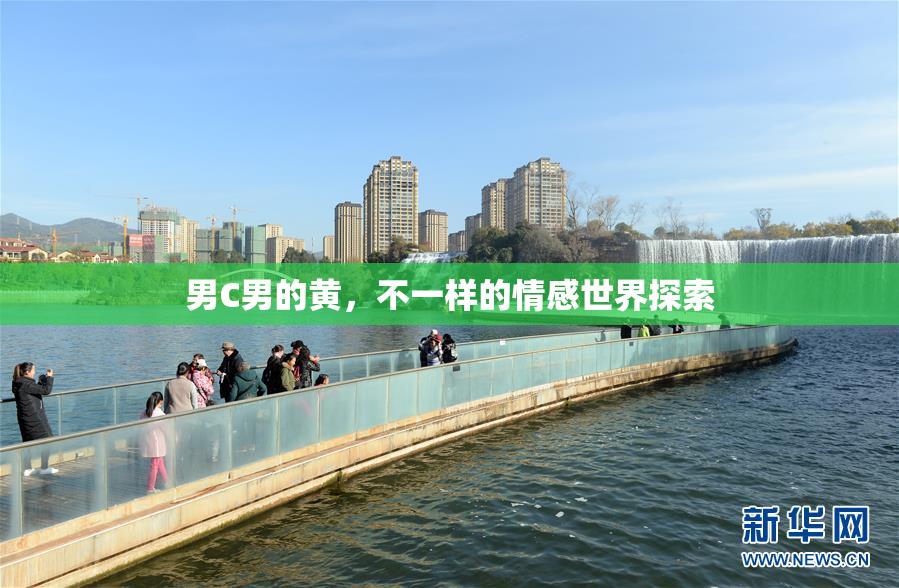 男C男的黄，不一样的情感世界探索