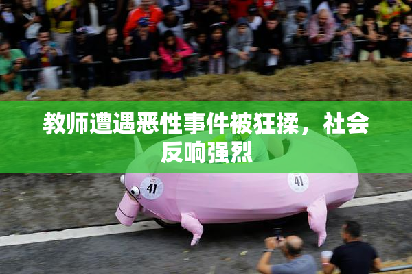 教师遭遇恶性事件被狂揉，社会反响强烈