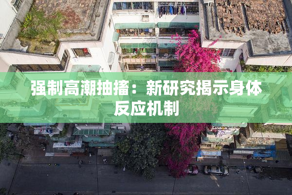 强制高潮抽搐：新研究揭示身体反应机制