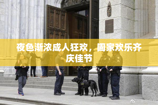 夜色渐浓成人狂欢，阖家欢乐齐庆佳节