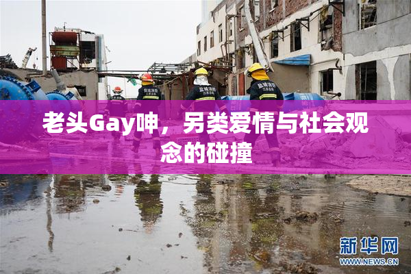 老头Gay呻，另类爱情与社会观念的碰撞