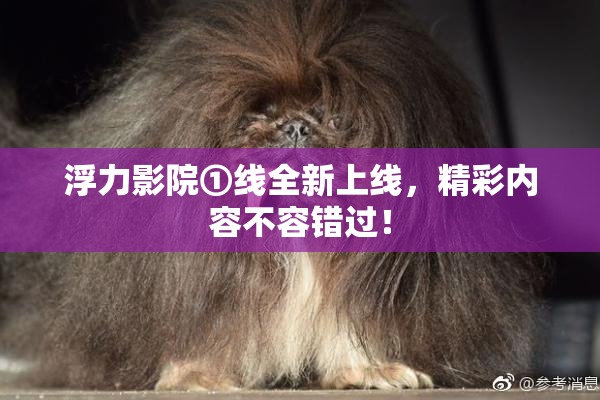 浮力影院①线全新上线，精彩内容不容错过！