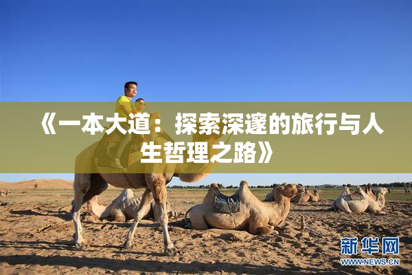 《一本大道：探索深邃的旅行与人生哲理之路》