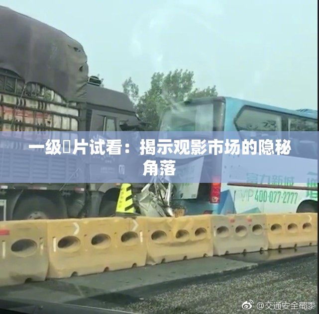 一级婬片试看：揭示观影市场的隐秘角落