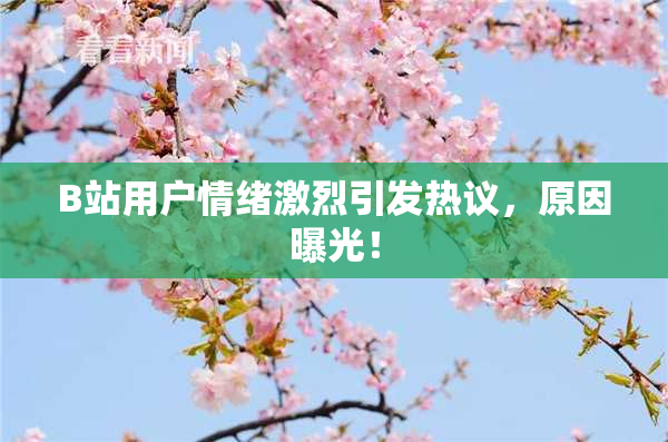 B站用户情绪激烈引发热议，原因曝光！