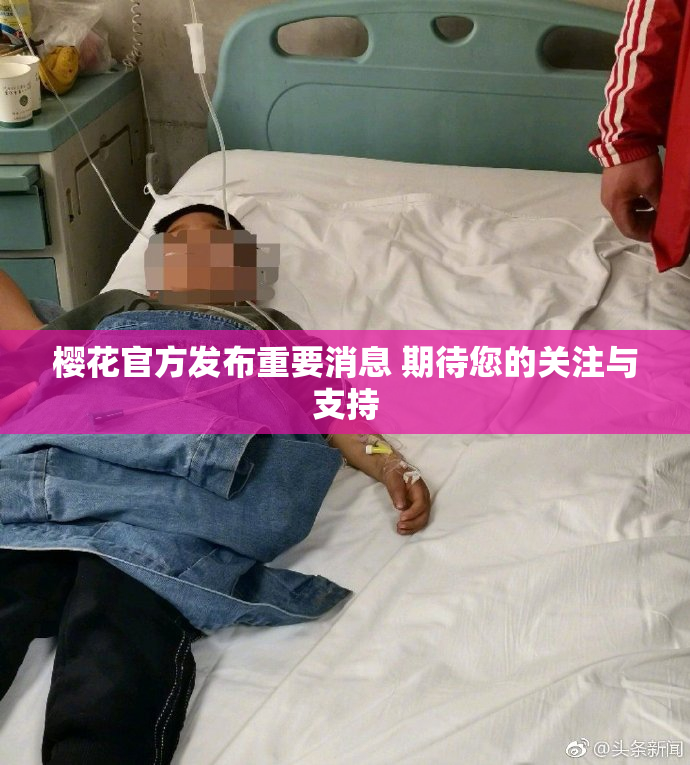 樱花官方发布重要消息 期待您的关注与支持