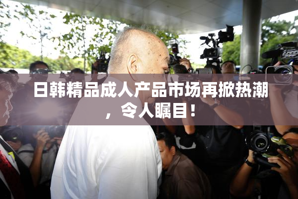 日韩精品成人产品市场再掀热潮，令人瞩目！