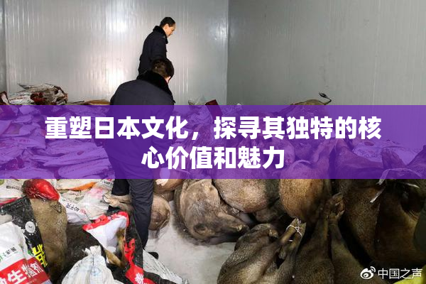 重塑日本文化，探寻其独特的核心价值和魅力