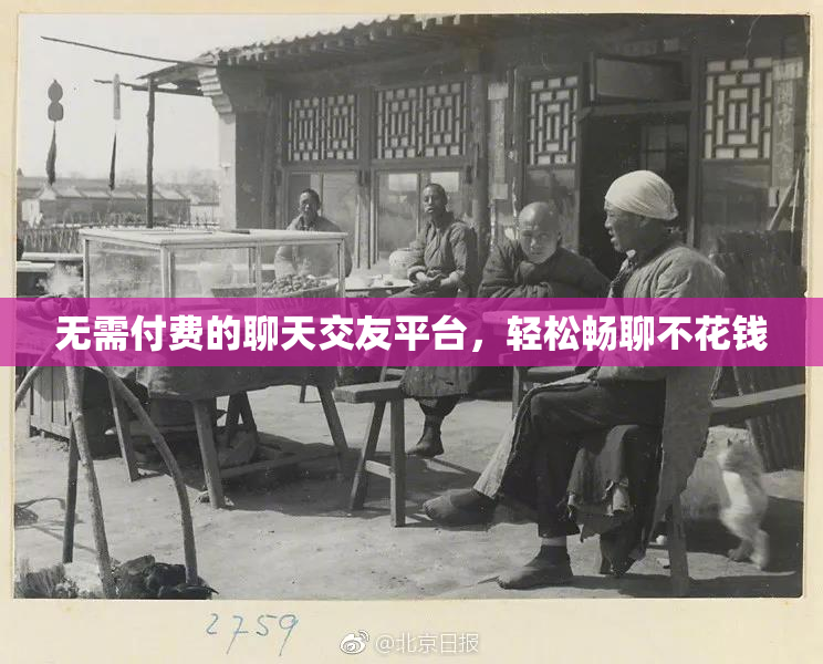 无需付费的聊天交友平台，轻松畅聊不花钱