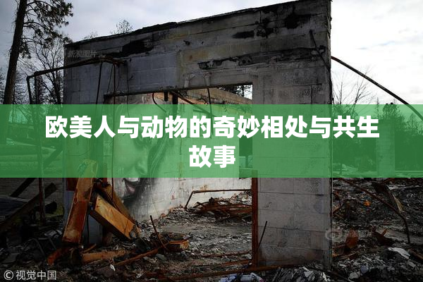 欧美人与动物的奇妙相处与共生故事