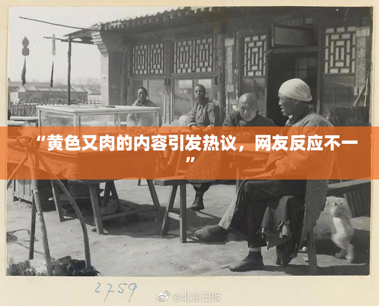 “黄色又肉的内容引发热议，网友反应不一”