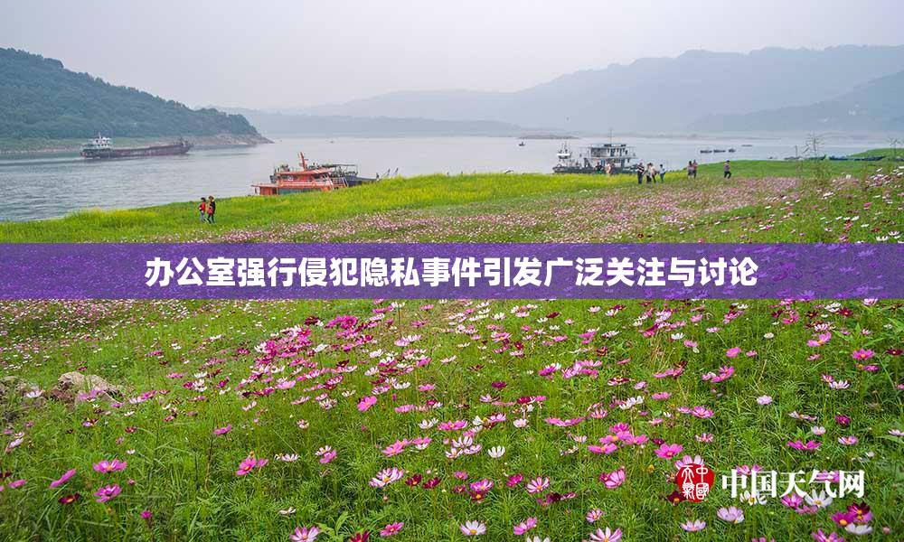 办公室强行侵犯隐私事件引发广泛关注与讨论