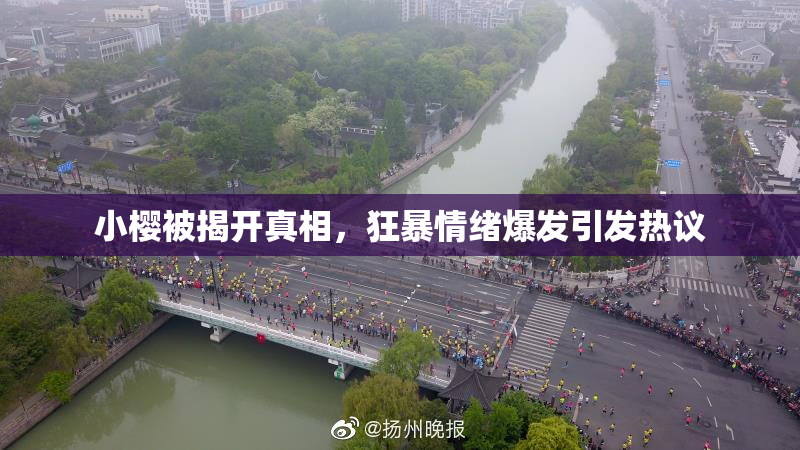 小樱被揭开真相，狂暴情绪爆发引发热议
