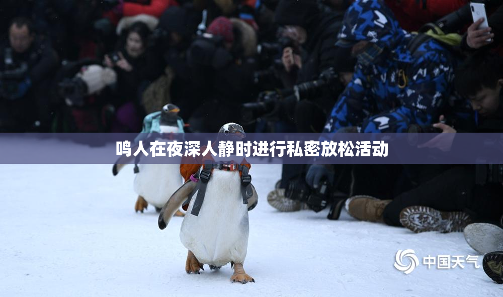 鸣人在夜深人静时进行私密放松活动
