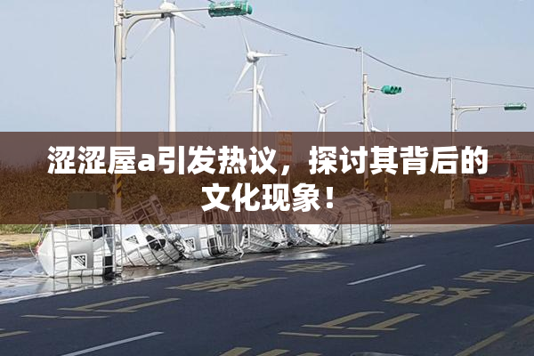 涩涩屋a引发热议，探讨其背后的文化现象！