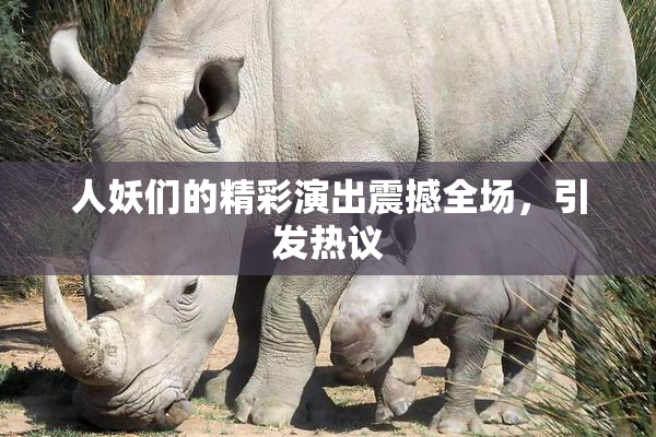 人妖们的精彩演出震撼全场，引发热议