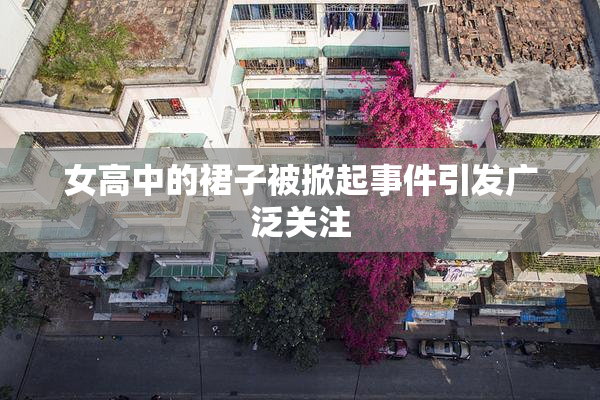 女高中的裙子被掀起事件引发广泛关注