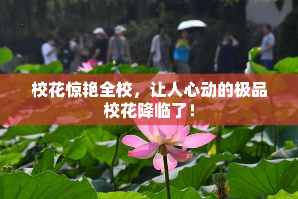 校花惊艳全校，让人心动的极品校花降临了！