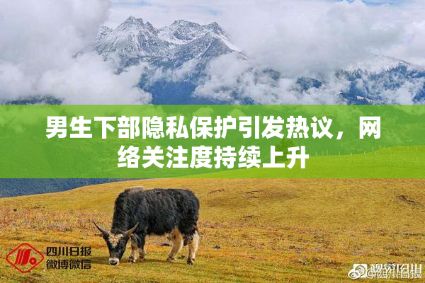 男生下部隐私保护引发热议，网络关注度持续上升