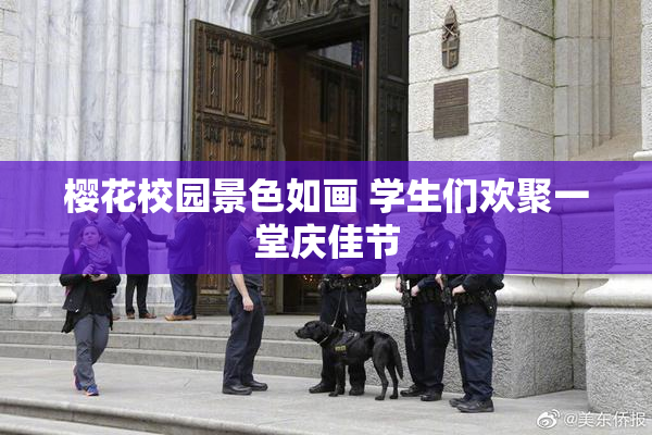 樱花校园景色如画 学生们欢聚一堂庆佳节