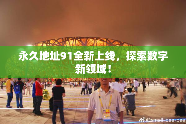永久地址91全新上线，探索数字新领域！