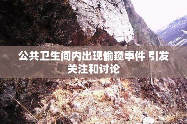 公共卫生间内出现偷窥事件 引发关注和讨论