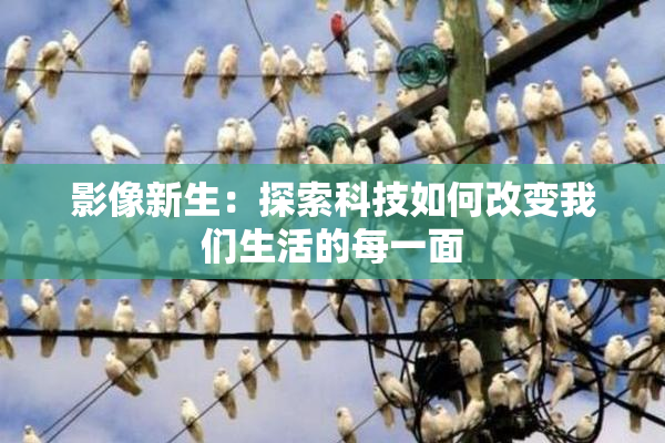 影像新生：探索科技如何改变我们生活的每一面