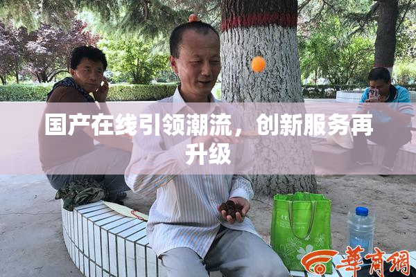 国产在线引领潮流，创新服务再升级