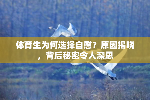体育生为何选择自慰？原因揭晓，背后秘密令人深思