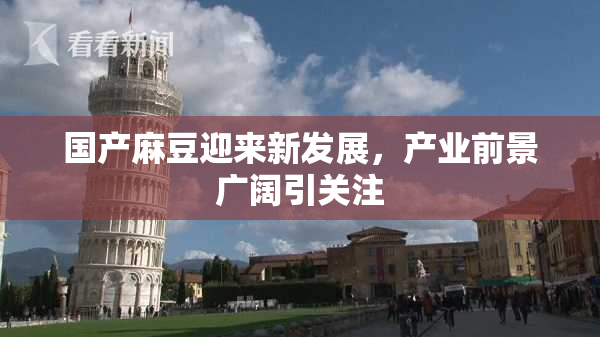 国产麻豆迎来新发展，产业前景广阔引关注
