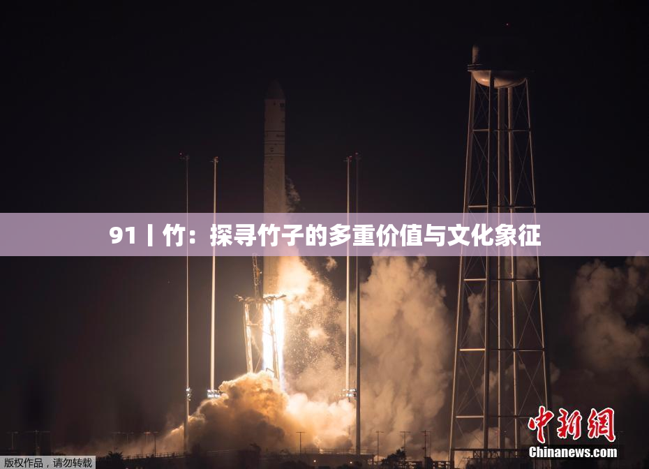 91丨竹：探寻竹子的多重价值与文化象征
