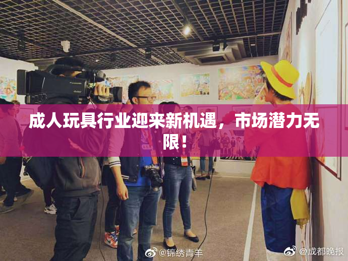 成人玩具行业迎来新机遇，市场潜力无限！