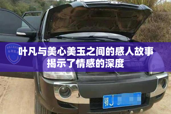 叶凡与美心美玉之间的感人故事揭示了情感的深度