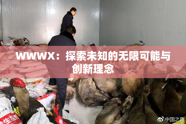 WWWX：探索未知的无限可能与创新理念
