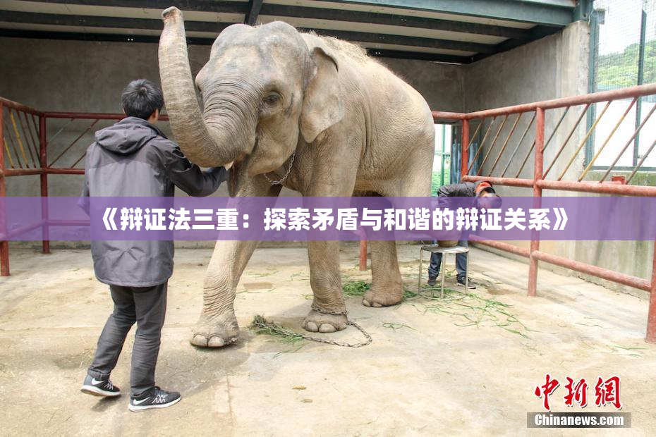 《辩证法三重：探索矛盾与和谐的辩证关系》