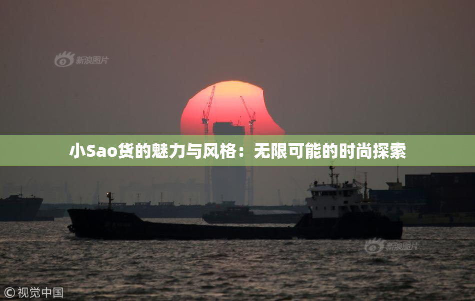 小Sao货的魅力与风格：无限可能的时尚探索