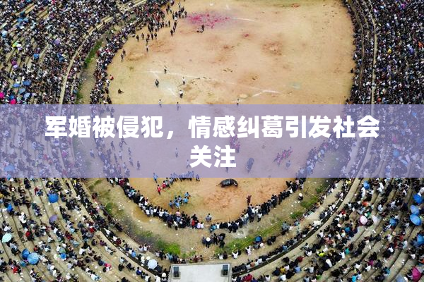 军婚被侵犯，情感纠葛引发社会关注