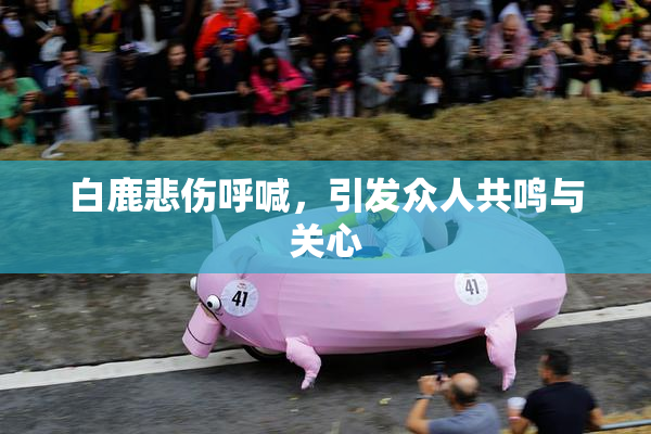 白鹿悲伤呼喊，引发众人共鸣与关心