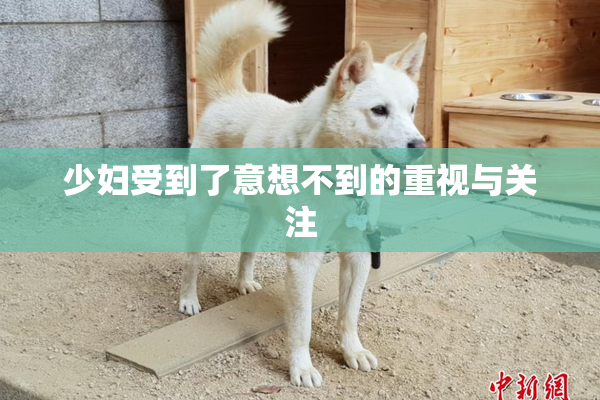 少妇受到了意想不到的重视与关注