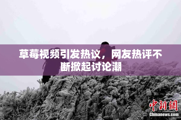 草莓视频引发热议，网友热评不断掀起讨论潮