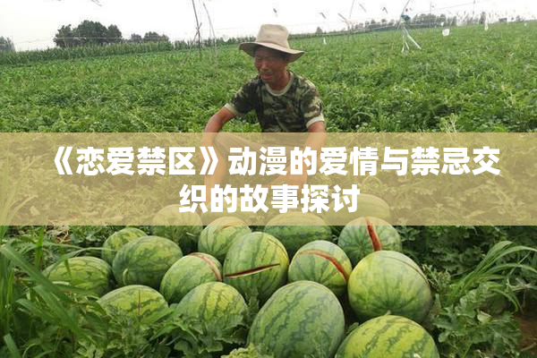 《恋爱禁区》动漫的爱情与禁忌交织的故事探讨