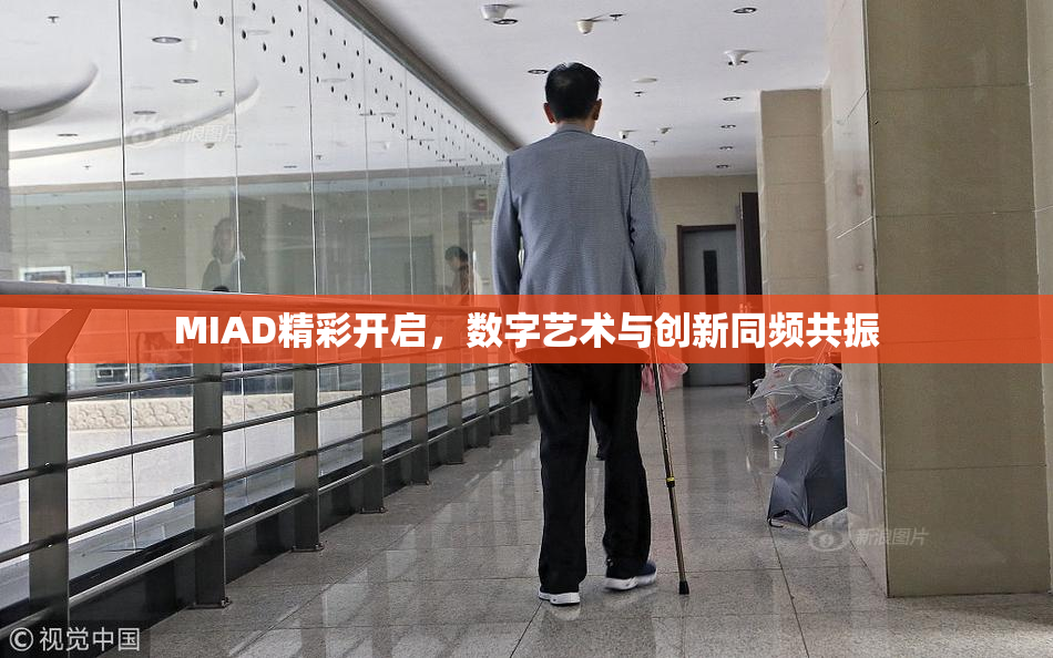 MIAD精彩开启，数字艺术与创新同频共振