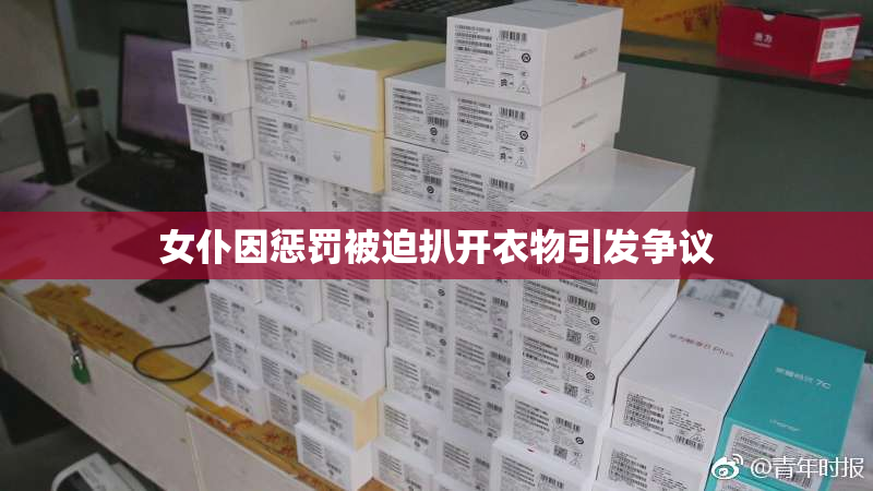 女仆因惩罚被迫扒开衣物引发争议