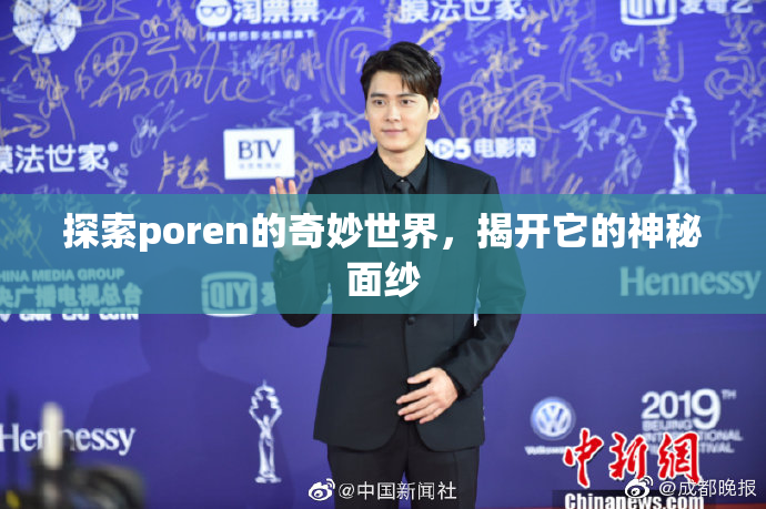 探索poren的奇妙世界，揭开它的神秘面纱