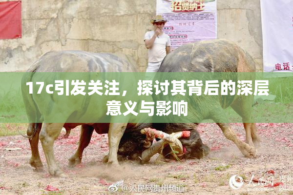 17c引发关注，探讨其背后的深层意义与影响